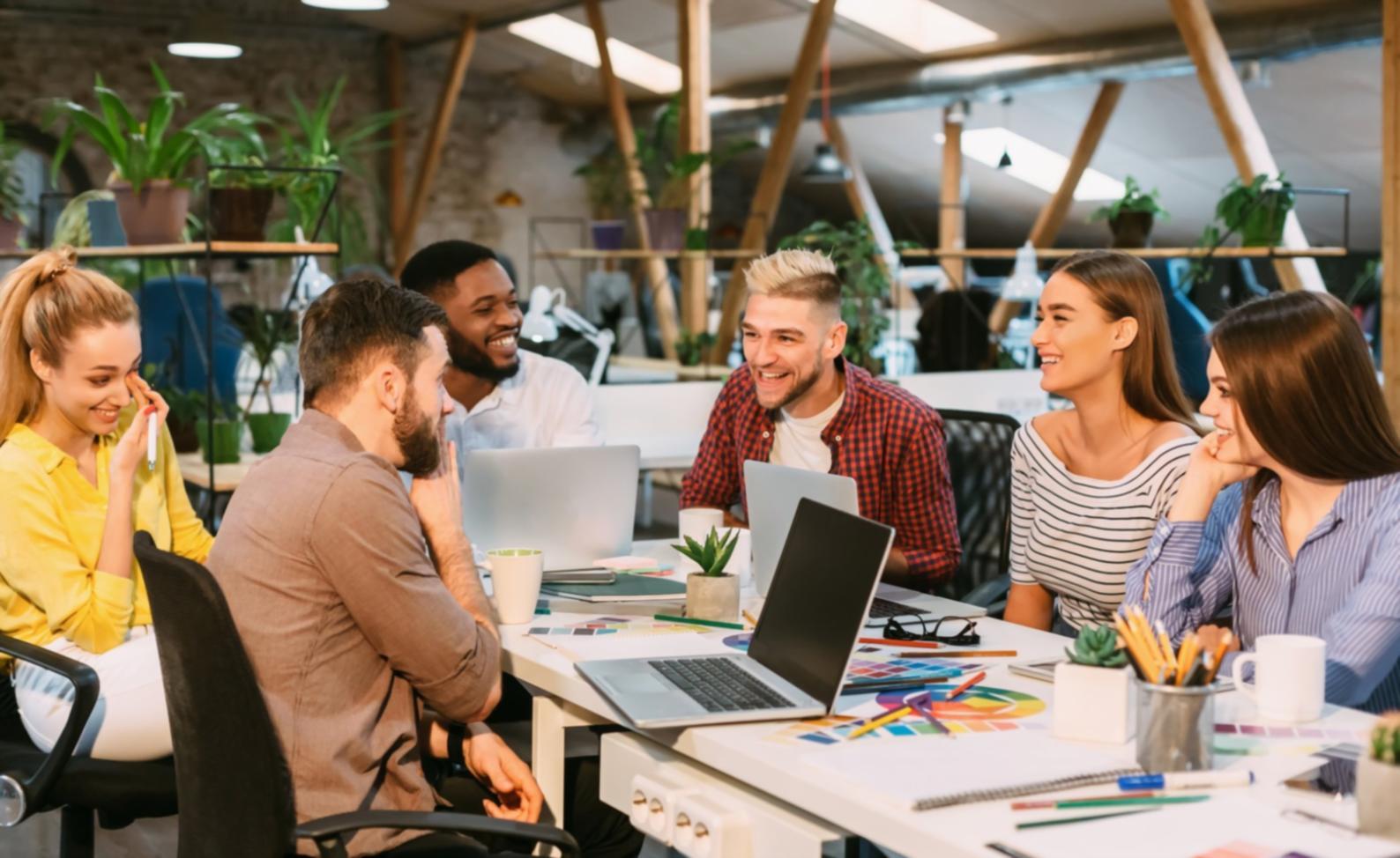 Programmablauf und Zeitplanung für das Analyseprogramm